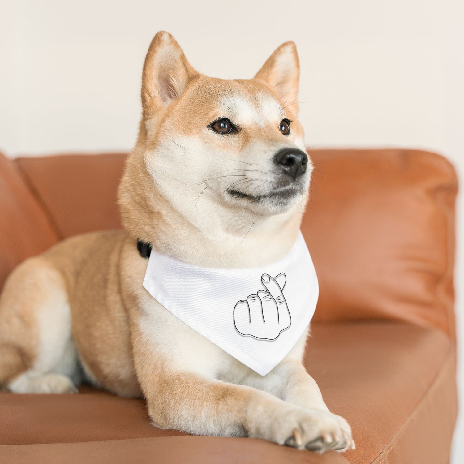Pet