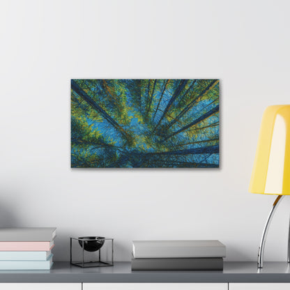 Canvas Wall Art, Forest Perspective Print, Nature Decor, Home & Office Art, Rustic Wall Hanging, Tree Art for Nature Lovers - TRV