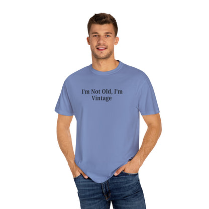 Vintage-Inspired Unisex T-Shirt - Funny Quote, Gift for Birthdays, Retro Style Tee, Casual Wear, Everyday Fashion - TRV