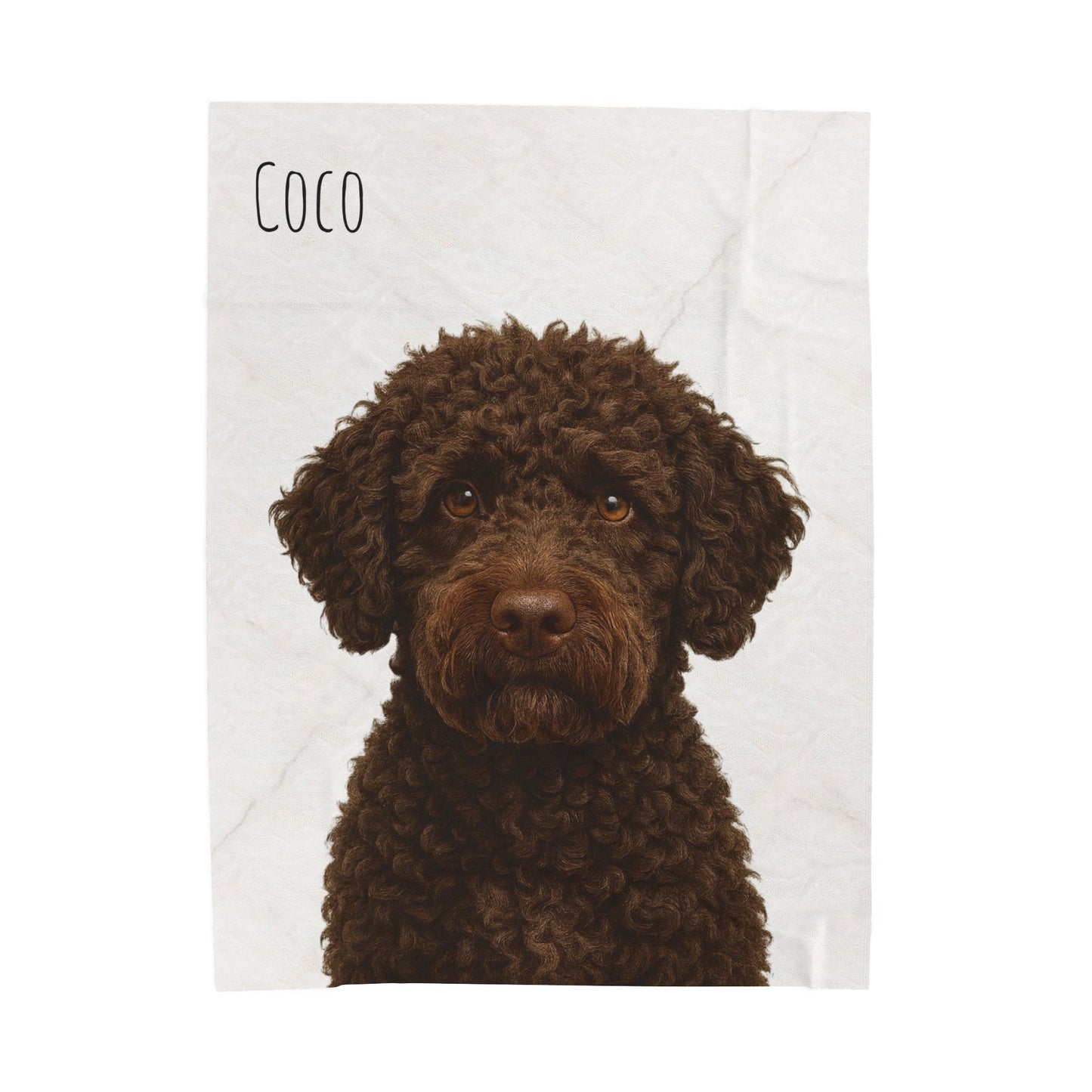 Custom Brown Labradoodle Portrait Blanket | Velveteen Plush Blanket - TRV