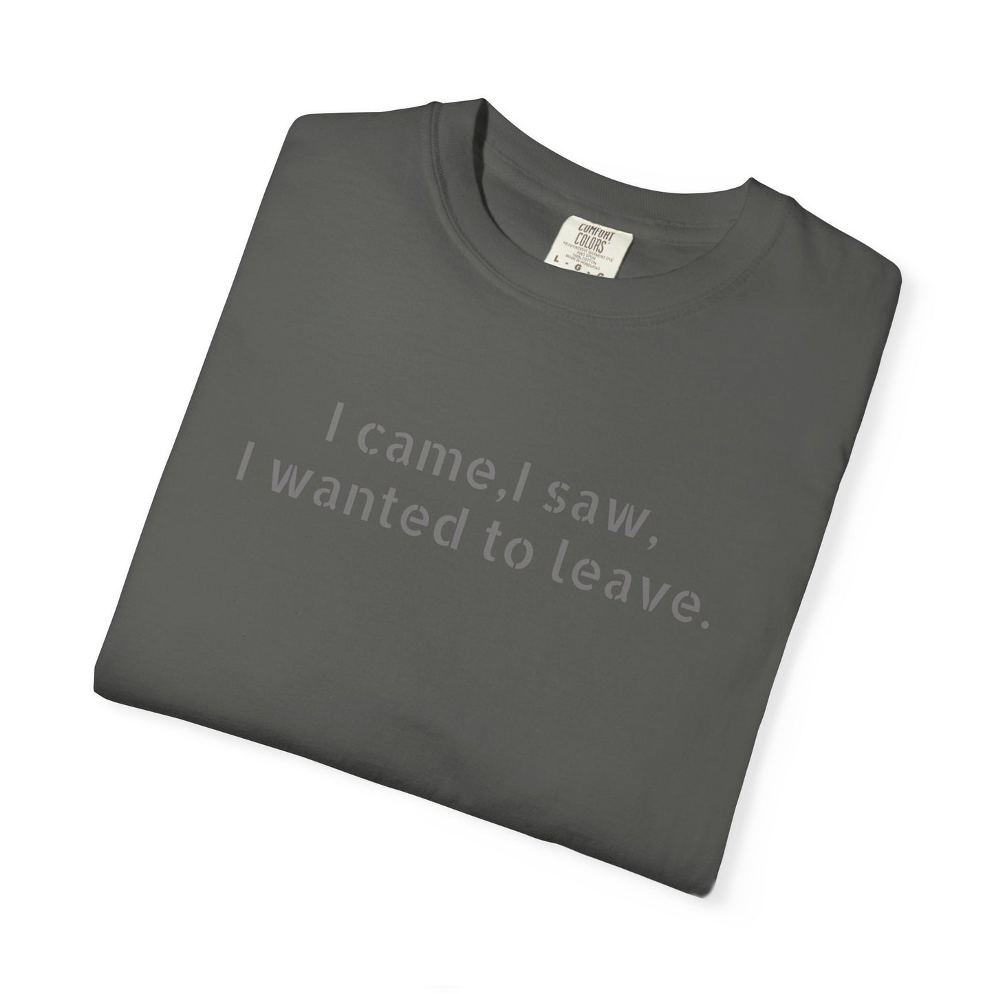 I came, I saw, I wanted to leave T-shirt | Minimal Text Tee