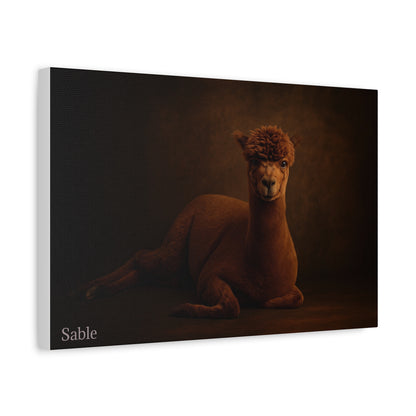 Alpaca Portrait Matte Canvas - TRV