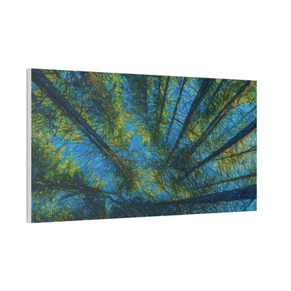 Forest Canopy Canvas Print – Upward View Trees Wall Art (Stretched Canvas 0.75")