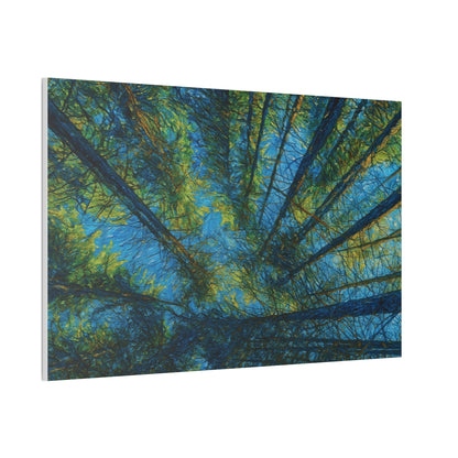 Forest Canopy Canvas Print – Upward View Trees Wall Art (Stretched Canvas 0.75")