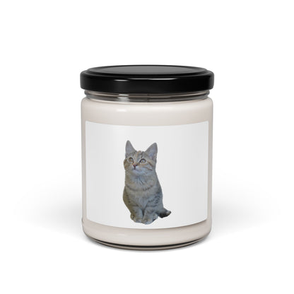 Cat-Themed Scented Soy Candle - 9oz - Perfect for Cat Lovers - TRV