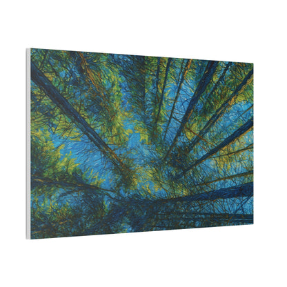 Forest Canopy Canvas Print – Upward View Trees Wall Art (Stretched Canvas 0.75")