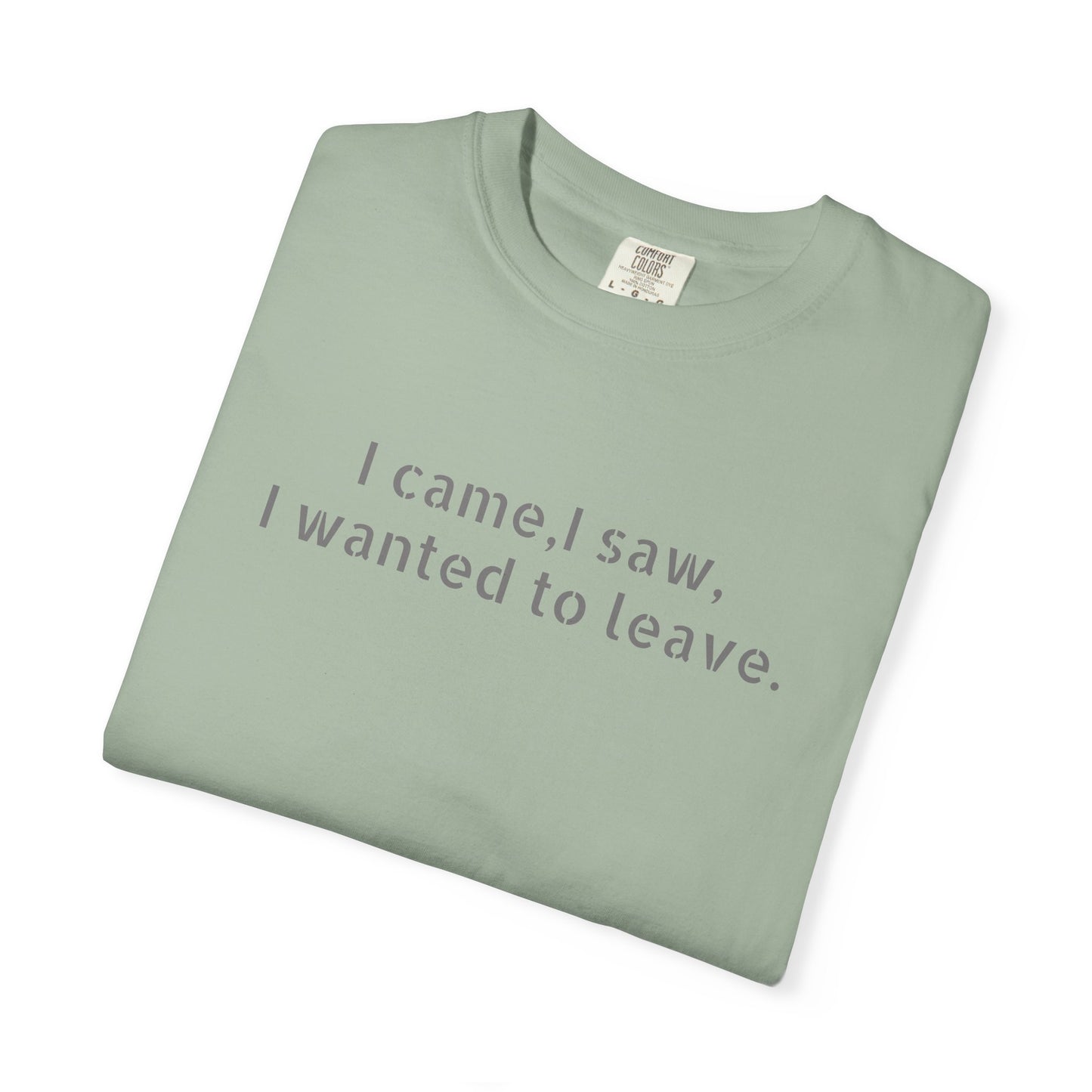 I came, I saw, I wanted to leave T-shirt | Minimal Text Tee