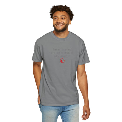 I'm Not Arguing I'm Just Explaining Why I'm Right T-shirt | Funny Quote Tee