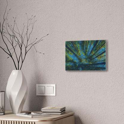 Forest Canopy Canvas Print – Upward View Trees Wall Art (Stretched Canvas 0.75")