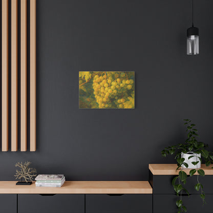 Yellow Grape Cluster Canvas - TRV