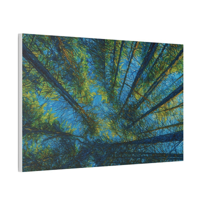 Forest Canopy Canvas Print – Upward View Trees Wall Art (Stretched Canvas 0.75")