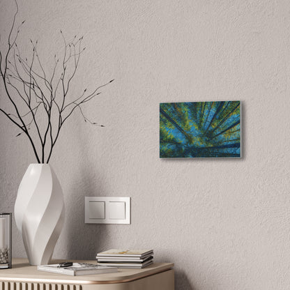 Forest Canopy Canvas Print – Upward View Trees Wall Art (Stretched Canvas 0.75")