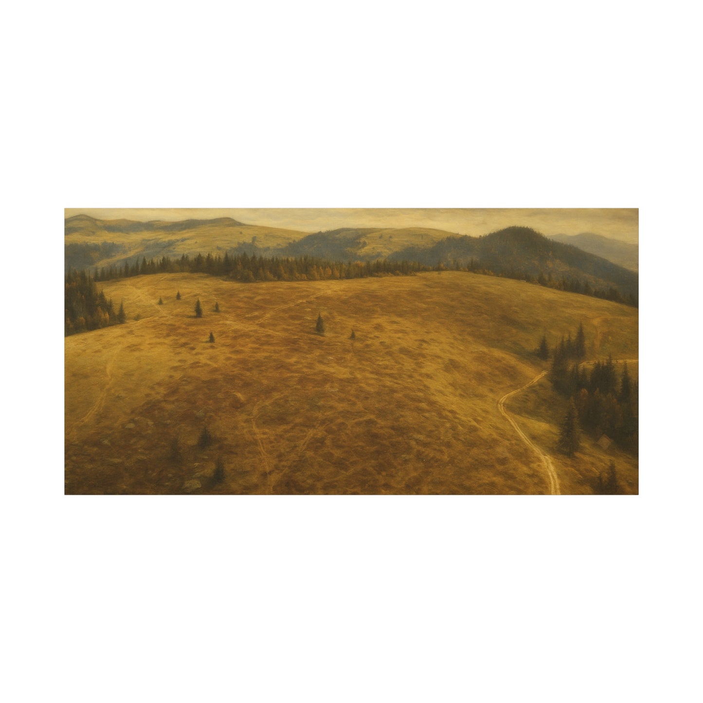 Stretched Canvas Art Print, Landscape Wall Decor, Nature Photography, Rustic Home Decor, Gifting, Earthy Art - TRV