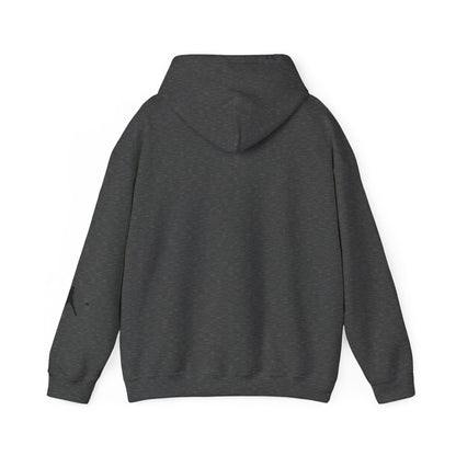 Baseball Themed Unisex Hoodie, Streetwear, Sports Fan Sweatshirt, Gift for Athletes, Casual Wear, Fall Fashion - TRV