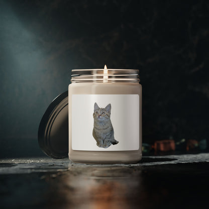 Cat-Themed Scented Soy Candle - 9oz - Perfect for Cat Lovers - TRV