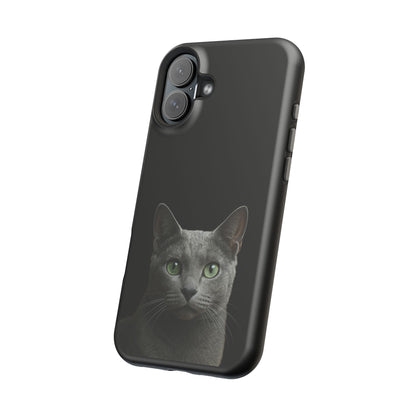 Russian Blue Cat Phone Case — Magnetic Impact-Resistant iPhone Cover