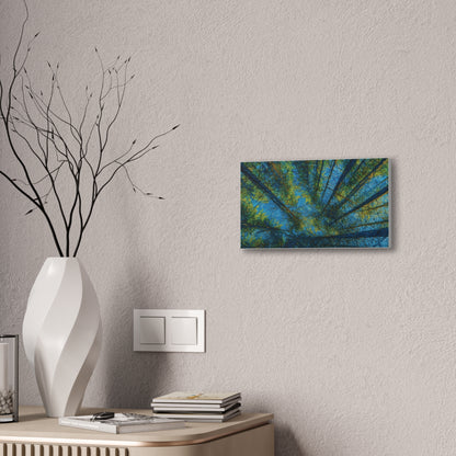 Forest Canopy Canvas Print – Upward View Trees Wall Art (Stretched Canvas 0.75")