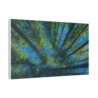 Forest Canopy Canvas Print – Upward View Trees Wall Art (Stretched Canvas 0.75")