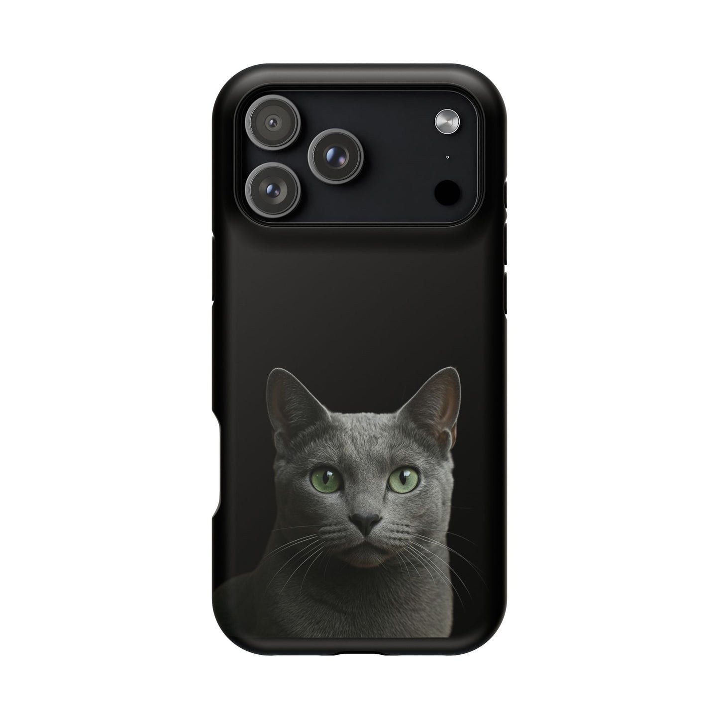 Russian Blue Cat Phone Case — Magnetic Impact-Resistant iPhone Cover