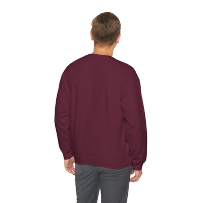 Cozy USA Unisex Crewneck Sweatshirt | Perfect Layering Piece for Every Season | Great Gift for Him/Her | Trendy Style for Casual Outings