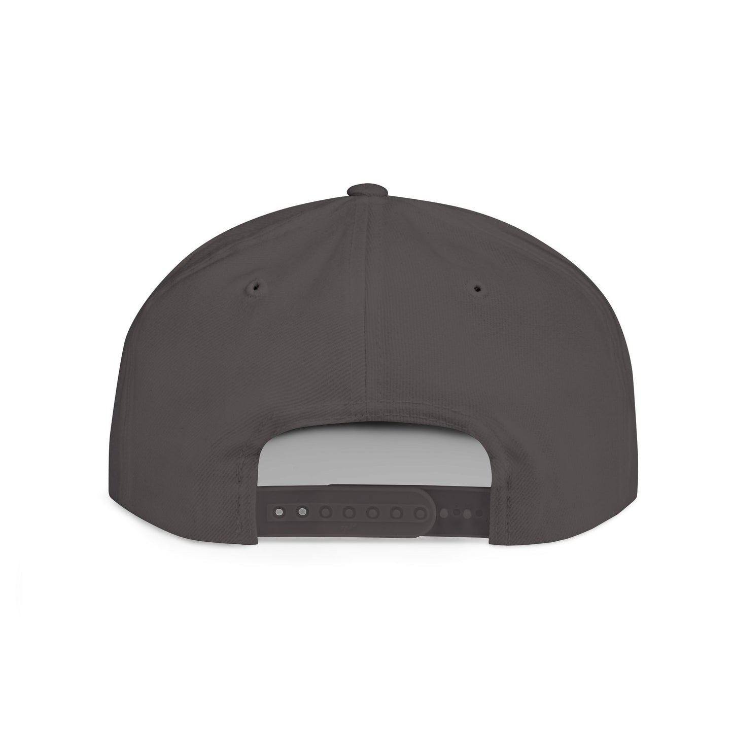 Baseball Swing Snapback Hat | Perfect Gift for Sports Lovers, Outdoor Adventures, Team Spirit, Casual Wear, Fun Events - TRV