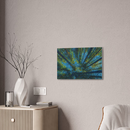 Canvas Wall Art, Forest Perspective Print, Nature Decor, Home & Office Art, Rustic Wall Hanging, Tree Art for Nature Lovers - TRV