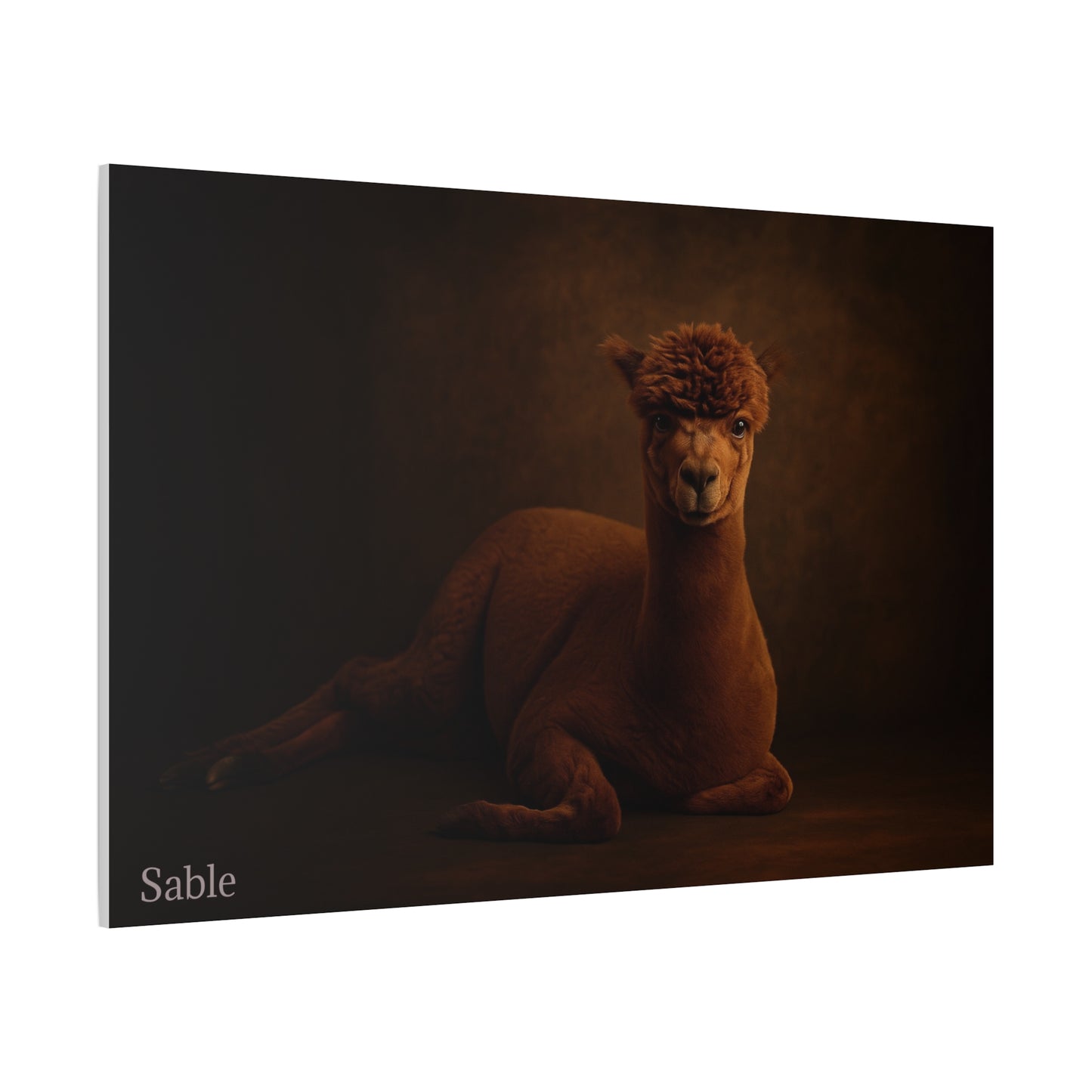 Alpaca Portrait Matte Canvas - TRV