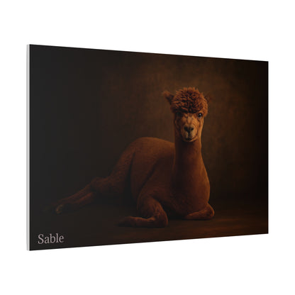 Alpaca Portrait Matte Canvas - TRV