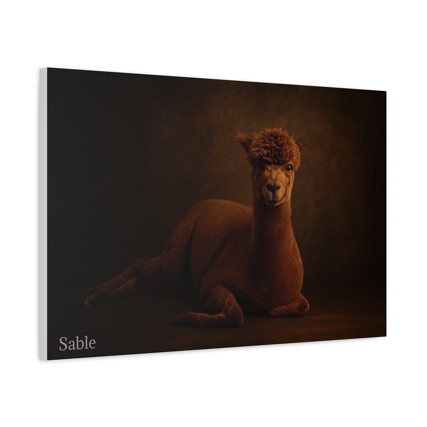 Alpaca Portrait Matte Canvas - TRV