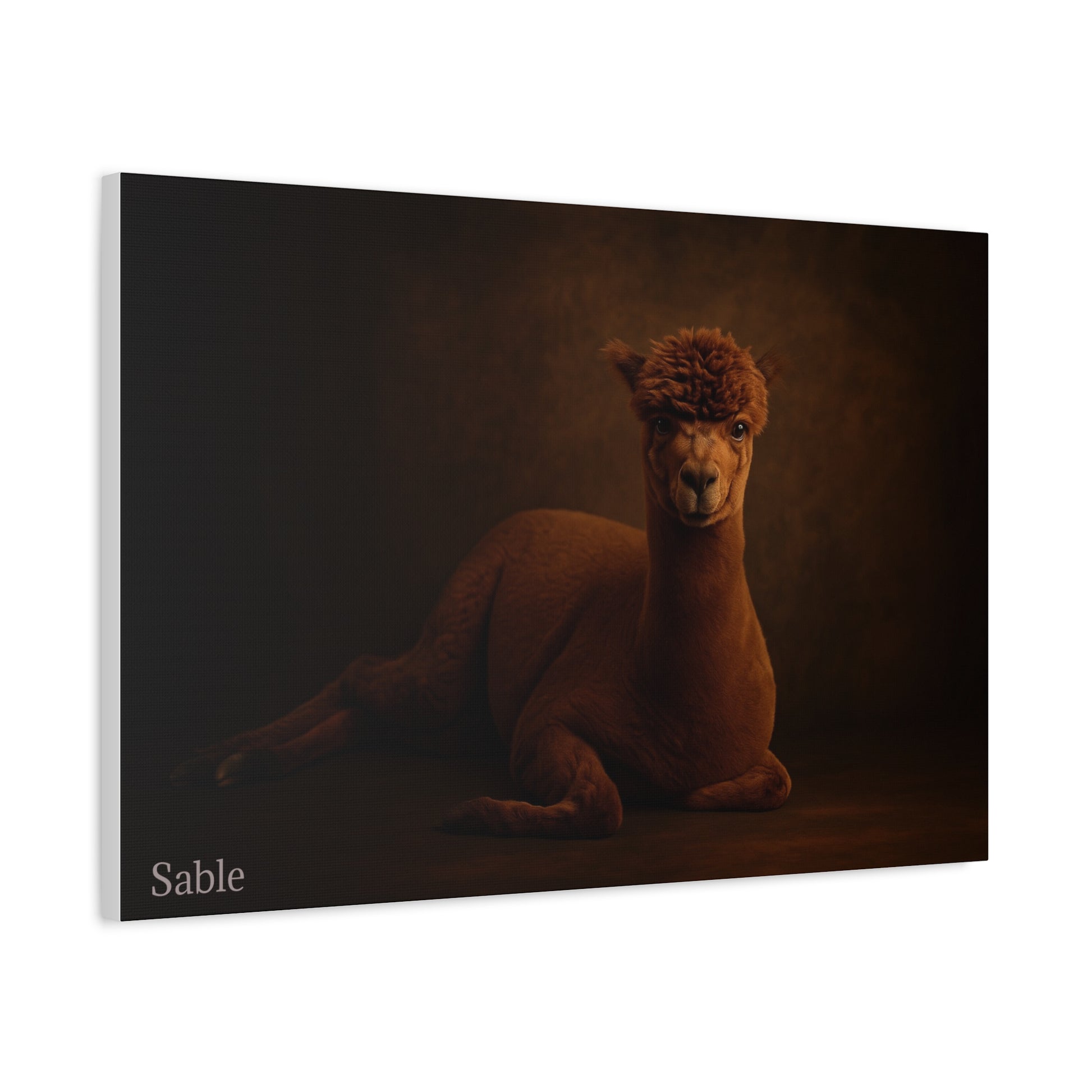 Alpaca Portrait Matte Canvas - TRV