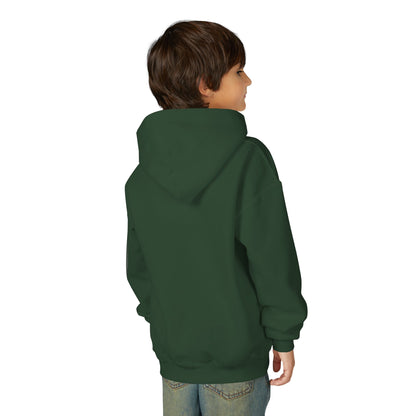 Baseball Themed Youth Hoodie, Sports Sweatshirt, Kids Gift, Youth Apparel, Baseball Fan Gear, Athletic Hoodie