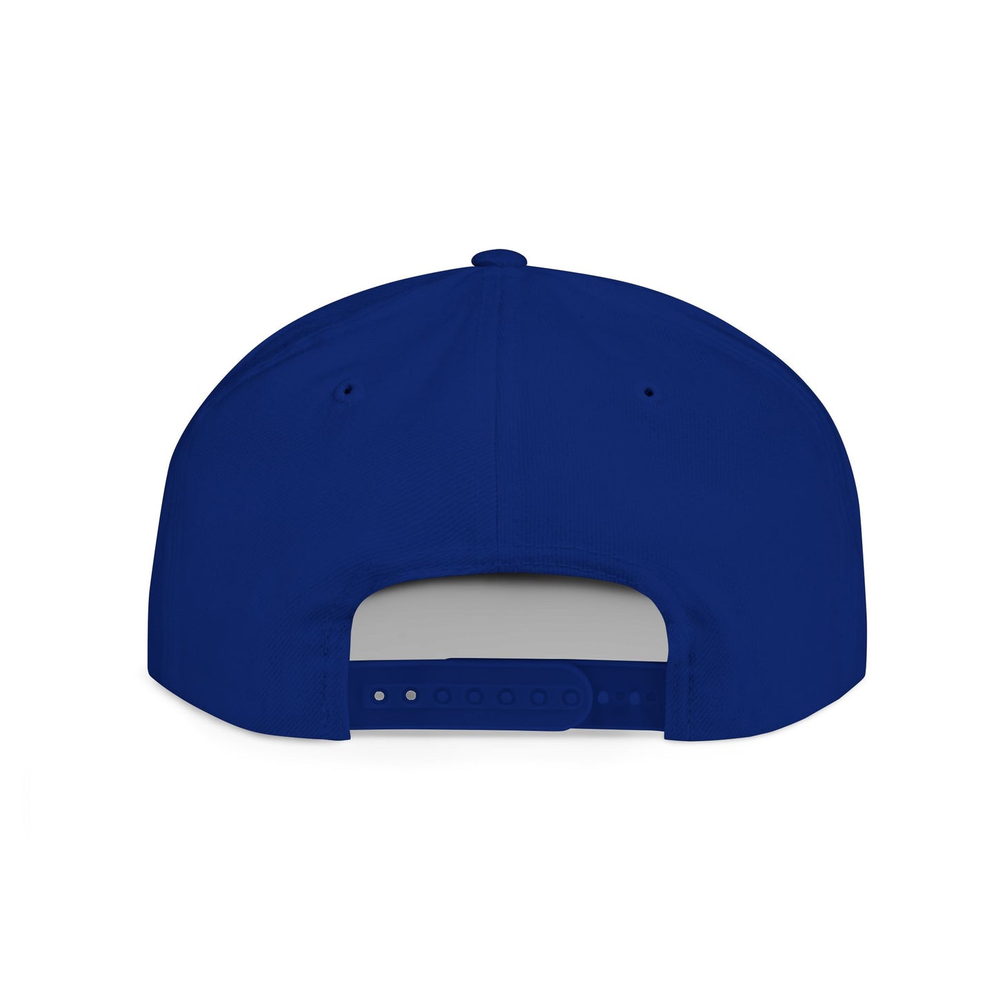 Baseball Swing Snapback Hat | Perfect Gift for Sports Lovers, Outdoor Adventures, Team Spirit, Casual Wear, Fun Events - TRV