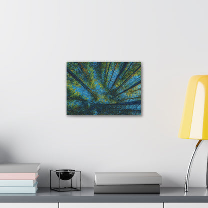 Forest Canopy Canvas Print – Upward View Trees Wall Art (Stretched Canvas 0.75")