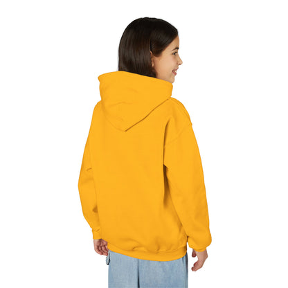 Baseball Themed Youth Hoodie, Sports Sweatshirt, Kids Gift, Youth Apparel, Baseball Fan Gear, Athletic Hoodie