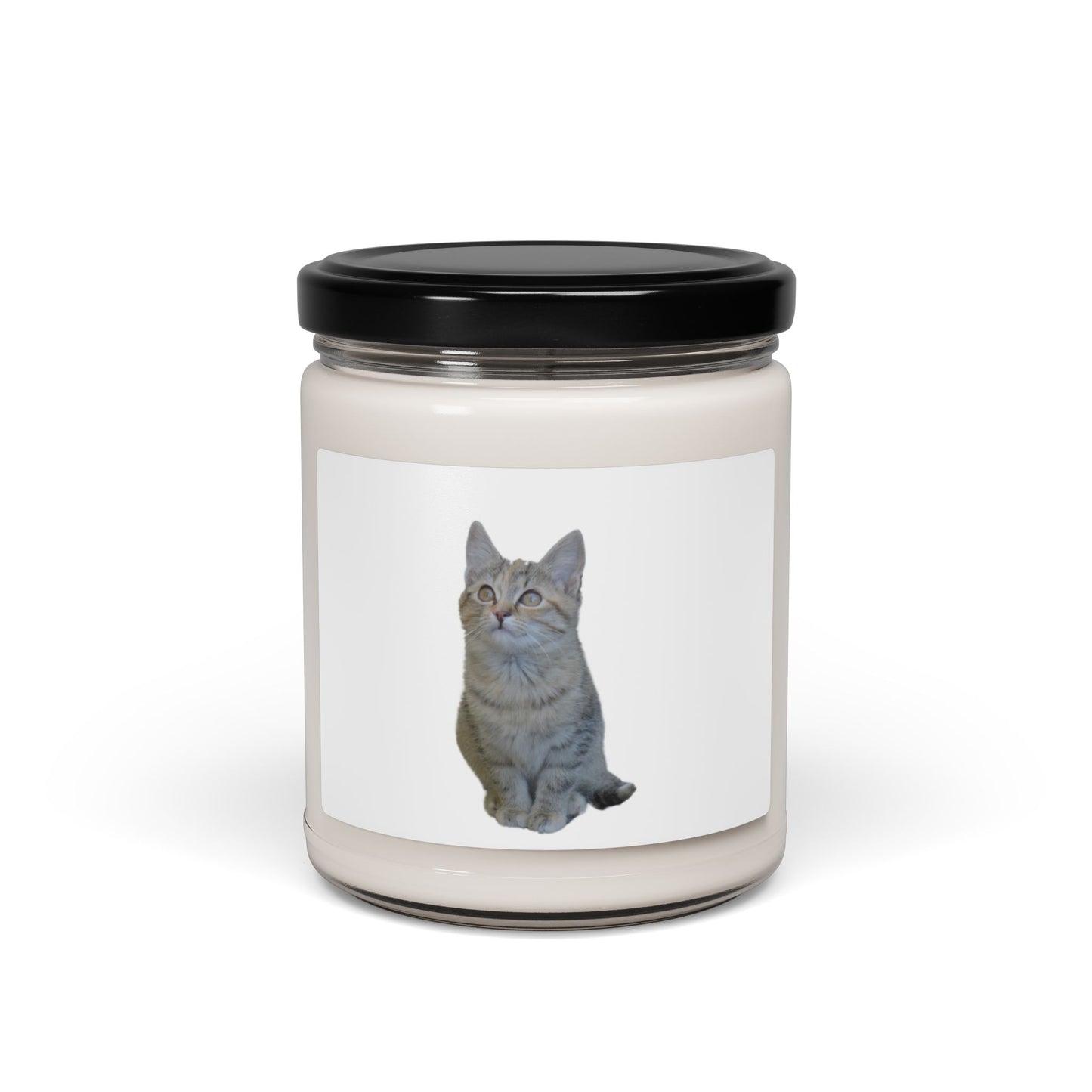 Cat-Themed Scented Soy Candle - 9oz - Perfect for Cat Lovers - product image