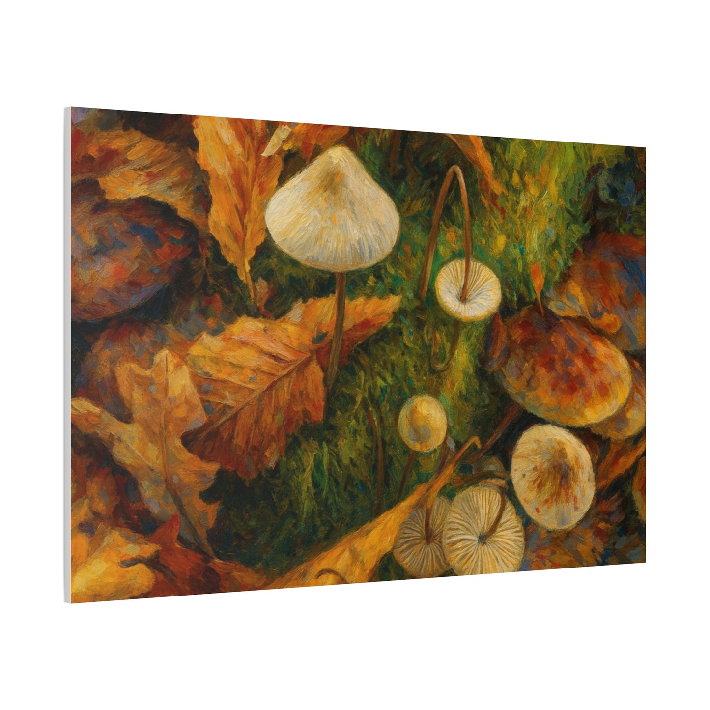 Autumn Mushrooms Canvas - TRV