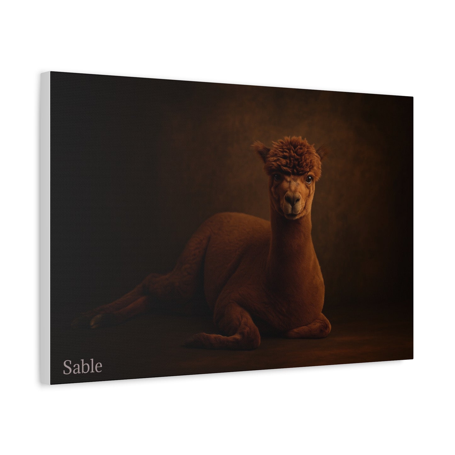Alpaca Portrait Matte Canvas - TRV