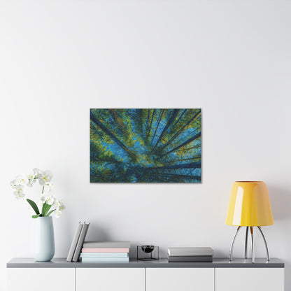 Canvas Wall Art, Forest Perspective Print, Nature Decor, Home & Office Art, Rustic Wall Hanging, Tree Art for Nature Lovers - TRV