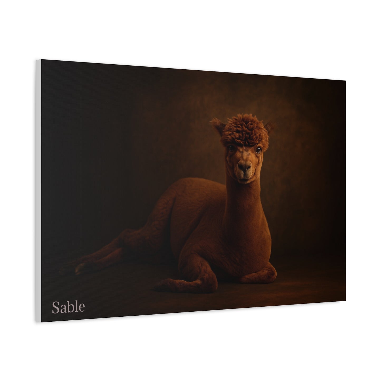 Alpaca Portrait Matte Canvas - TRV