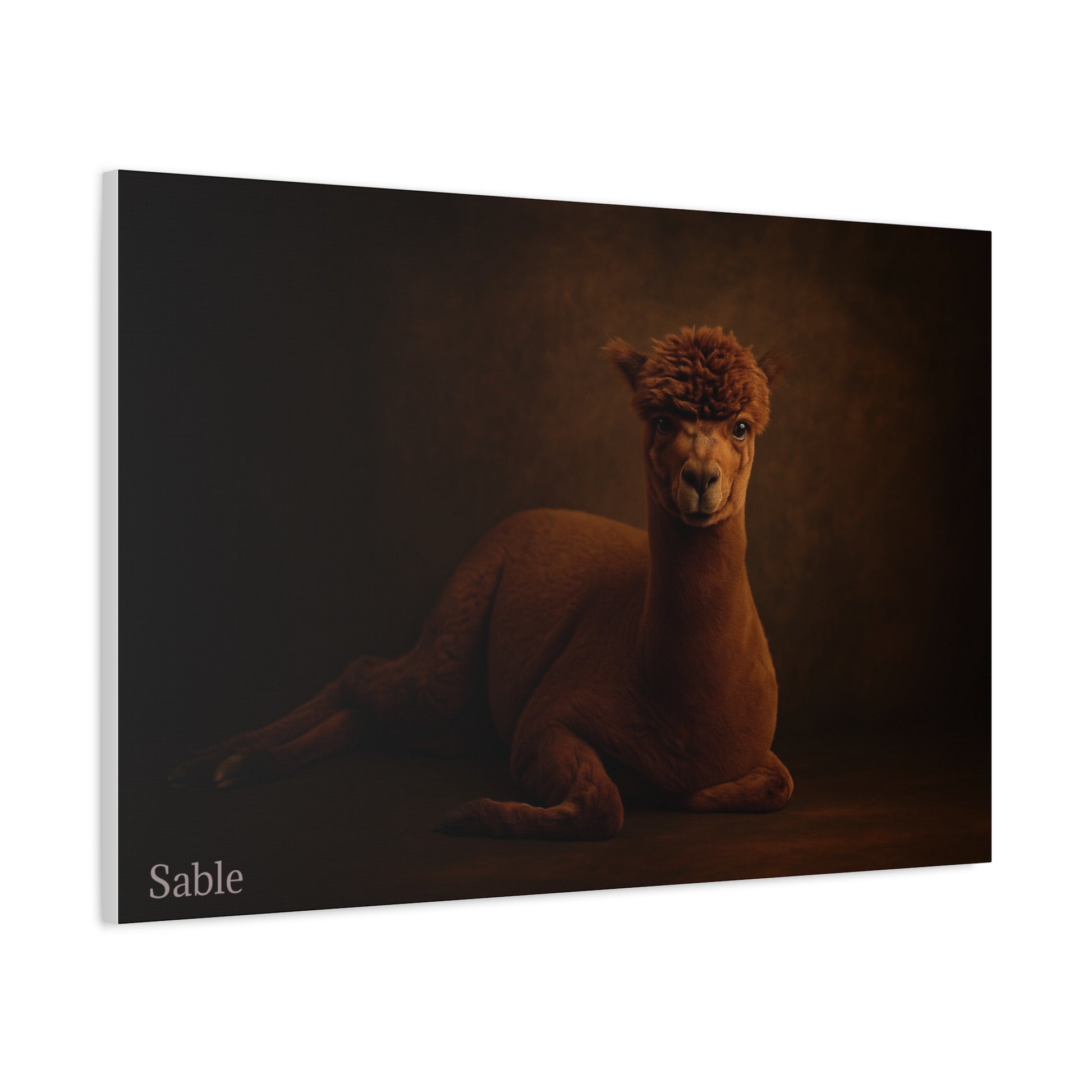 Alpaca Portrait Matte Canvas - TRV