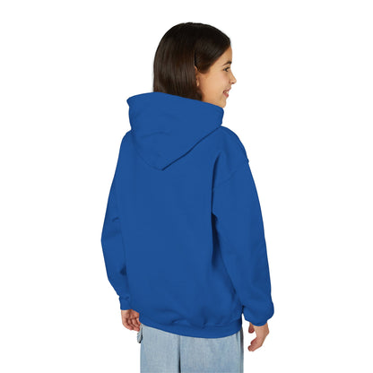 Baseball Themed Youth Hoodie, Sports Sweatshirt, Kids Gift, Youth Apparel, Baseball Fan Gear, Athletic Hoodie