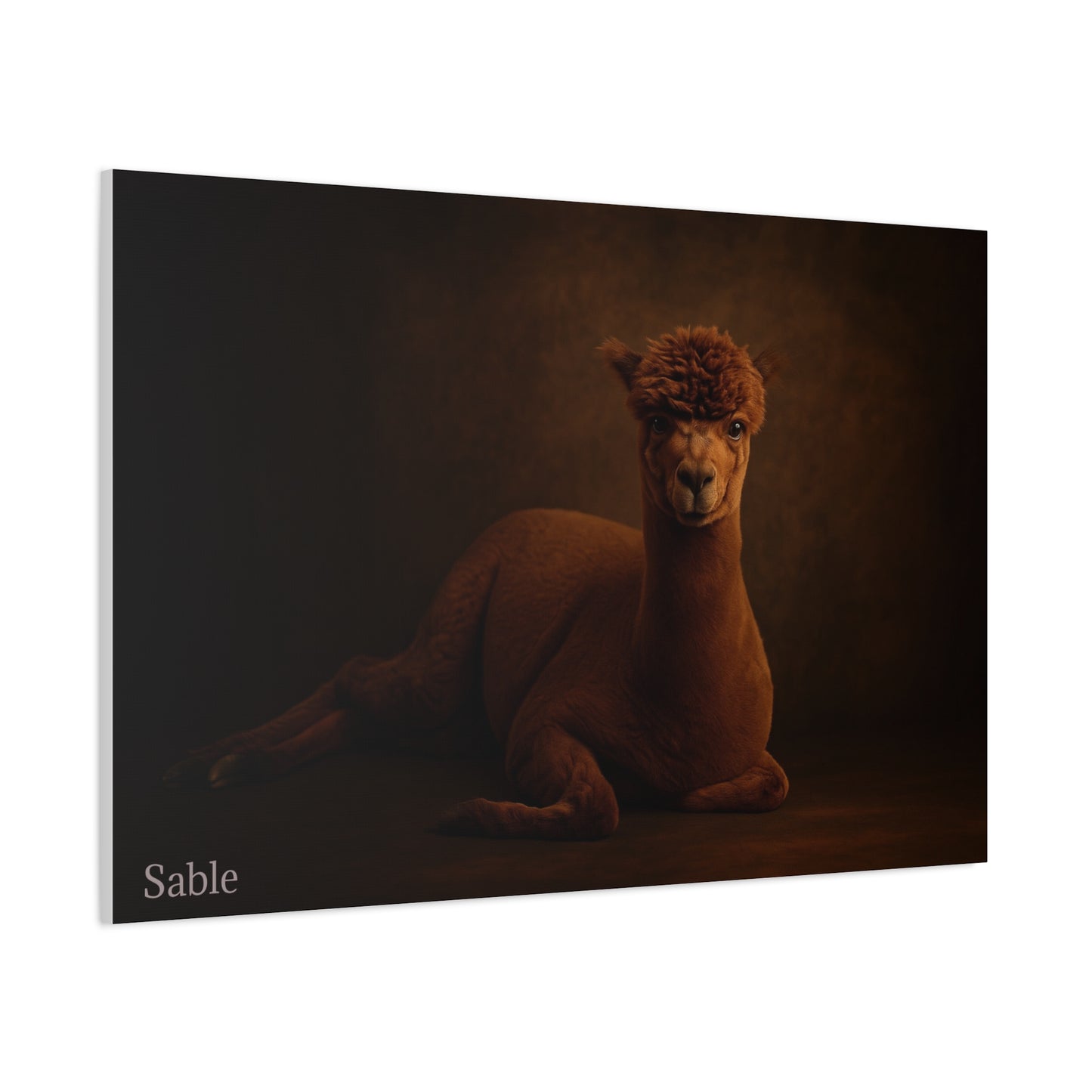 Alpaca Portrait Matte Canvas - TRV