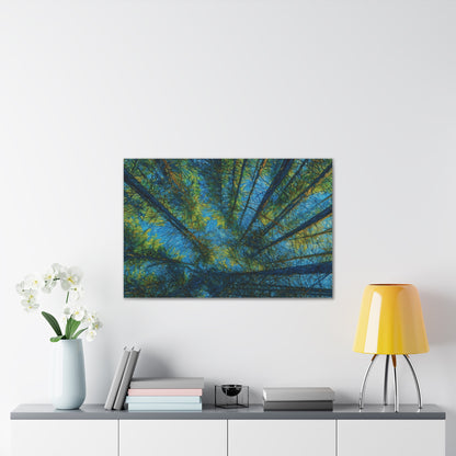 Forest Canopy Canvas Print – Upward View Trees Wall Art (Stretched Canvas 0.75")
