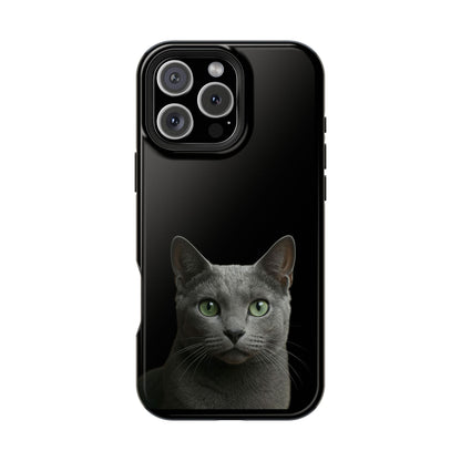 Russian Blue Cat Phone Case — Magnetic Impact-Resistant iPhone Cover