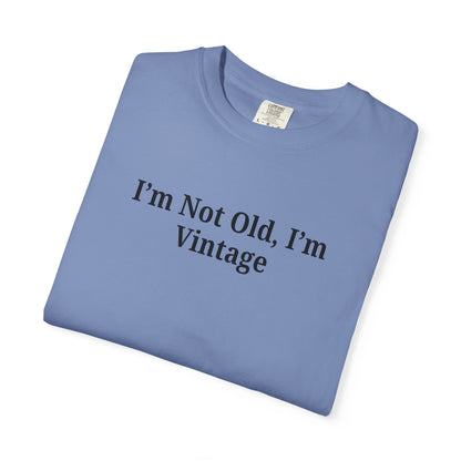 Vintage-Inspired Unisex T-Shirt - Funny Quote, Gift for Birthdays, Retro Style Tee, Casual Wear, Everyday Fashion - TRV